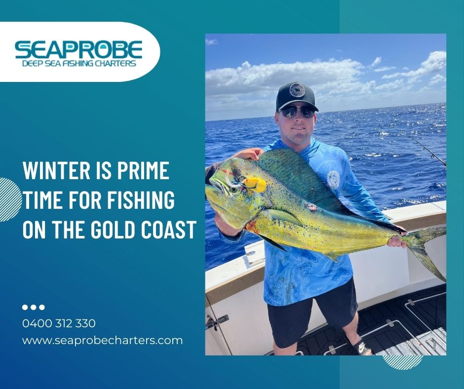 Winter is Prime Time for Fishing on the Gold Coast - Gold Coast